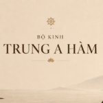 Trung A Hàm