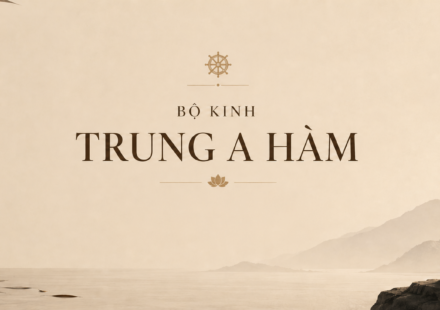 Trung A Hàm