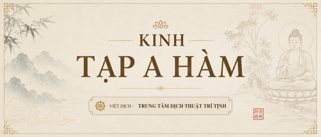 tạp a hàm