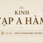 tạp a hàm