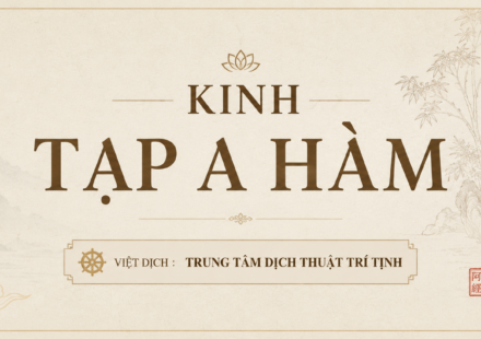 tạp a hàm