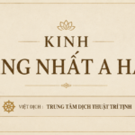 Kinh Tăng Nhất A Hàm