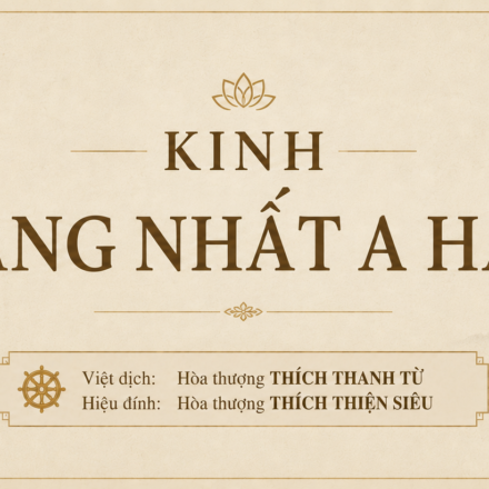 Tăng Nhất A Hàm